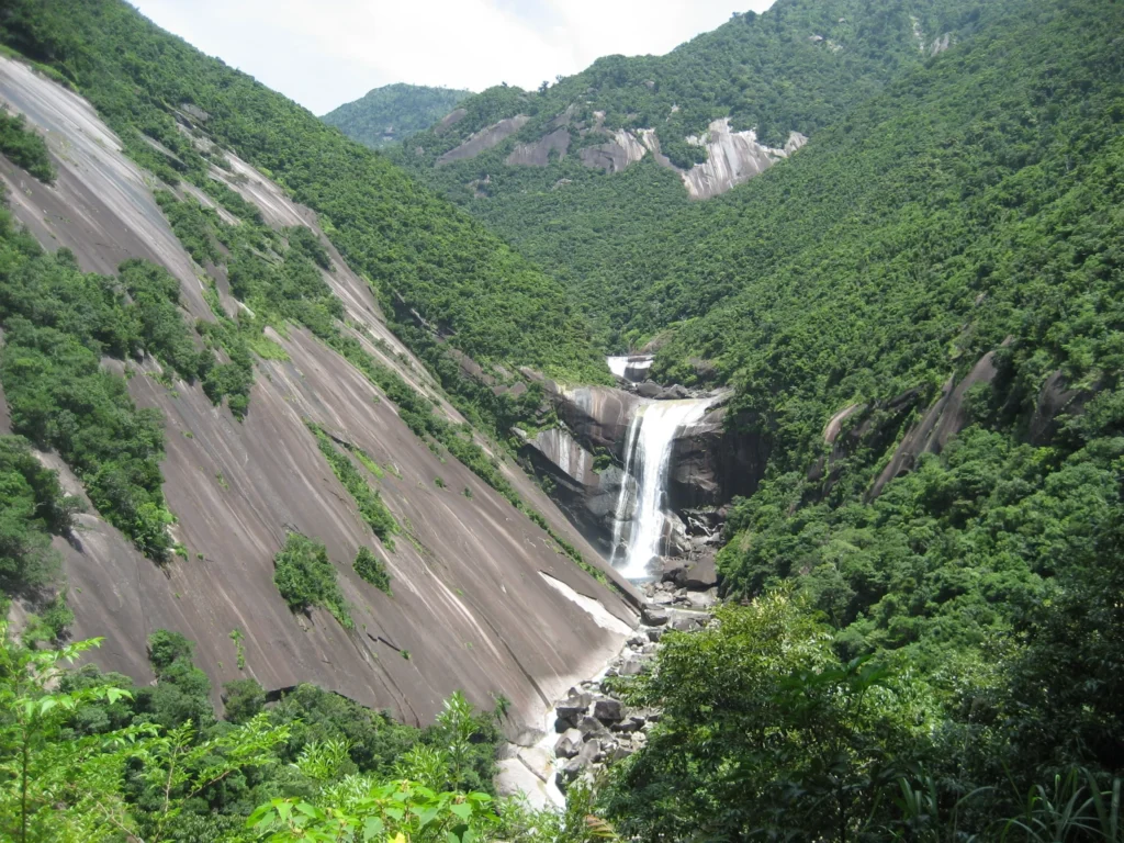 素早い対応をして頂けたことが一番感謝しています。